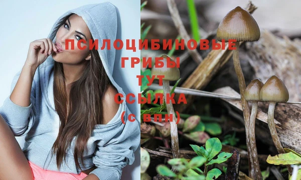 apvp Краснотурьинск
