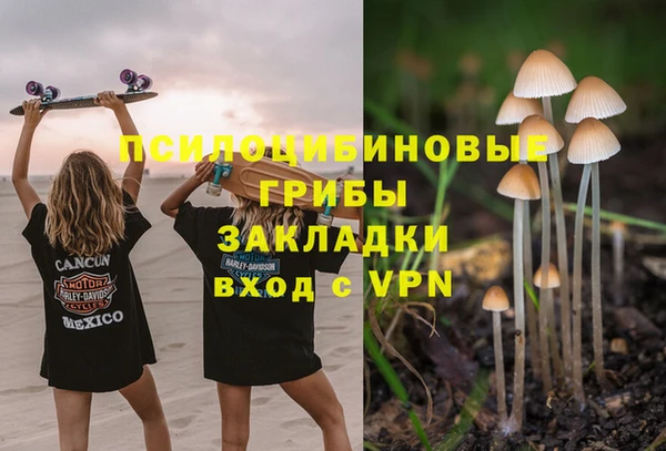 apvp Краснотурьинск