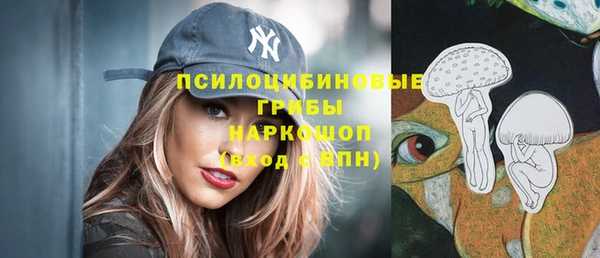 apvp Краснотурьинск