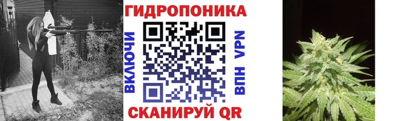Купить закладки  Людиново  Бошки Шишки семена 